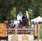 Poney d&rsquo;excellence &agrave; vendre 