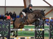 Poney d&rsquo;excellence &agrave; vendre 