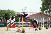 Poney d&rsquo;excellence &agrave; vendre 