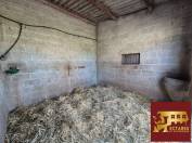 Equestrian Bed and Breakfast  Cher