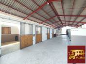 Stud farm  Sa&ocirc;ne-et-Loire