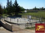 Stud farm  Sa&ocirc;ne-et-Loire