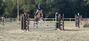 Petit cheval &agrave; vendre