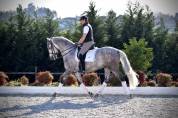 Garboso CSLR &ndash; Hongre PRE 2021, ANCCE, dressage
