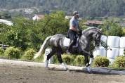 Garboso CSLR &ndash; Hongre PRE 2021, ANCCE, dressage