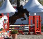 Chouette jument de 5 ans