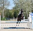 &Agrave; vendre ponette PFS taille D 9 ans