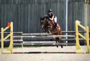 &Agrave; vendre ponette PFS taille D 9 ans
