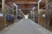 Aux portes de Lyon : propri&eacute;t&eacute; &eacute;questre cl&eacute; en main 8ha