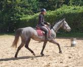 Jeune jument Aqps