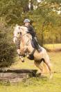 Splendide poney d&rsquo;enfant