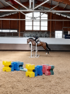 Hongre - OC - 4 ans - CSO - France 