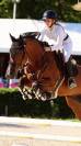 Cheval de 11 ans &agrave; vendre 