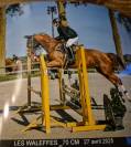 Jument kwpn alezane 2015