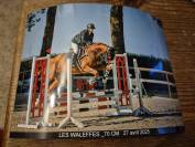 Jument kwpn alezane 2015