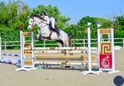 ✨ Poney D &agrave; vendre ✨
