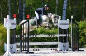 Poney C &agrave; vendre 