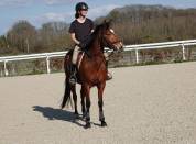 Adorable ponette pour As CCE / CSO
