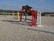 Adorable ponette pour As CCE / CSO