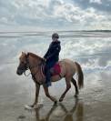 | EASY JUMP - 11 ans - 1m30 |