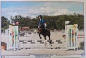 A louer Poney D de sport maitre d&rsquo; &eacute;cole