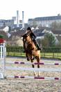 Cheval 11 ans 