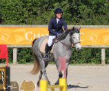 JUMENT CONNEMARA 4 ANS