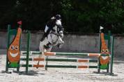 &Agrave; VENDRE &ndash; Ponette grise, 13 ans &ndash; 1m39