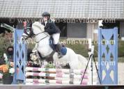  &Agrave; VENDRE &ndash; Ponette grise, 13 ans &ndash; 1m39