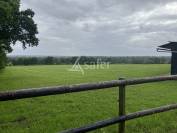 Propiedad ecuestre En venta Mayenne