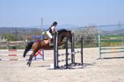 Ponette 11 ans pour d&eacute;marrer les concours