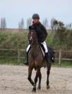 top ponette pour petit pilote