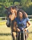 Cours / travail du cheval - &eacute;quitation &eacute;thologique