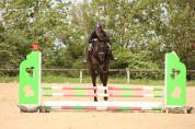 A vendre hongre 8 ans Cso Cce