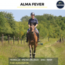 ALMA FEVER - PS - 3 ANS