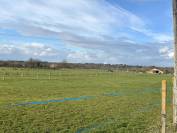 Luxurious equestrian property  Dordogne