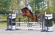 6 ans hongre Grandorado Tn x Bamboula de muze 