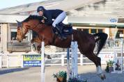 6 ans hongre Grandorado Tn x Bamboula de muze 