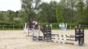 Welsh part-Bred 4 ans