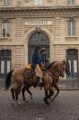 Hongre Paint horse 10 ans