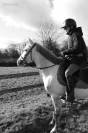 Poney C - ONC