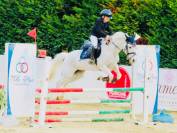 Super pony Connemara