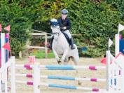 Super pony Connemara