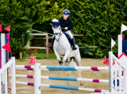 Super pony Connemara ✨