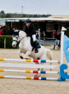 Super pony Connemara ✨