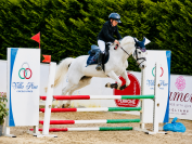 Super pony Connemara ✨