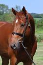 LAFAYETTE D'ANCHAT
