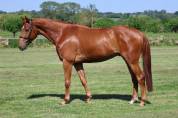 LAFAYETTE D'ANCHAT