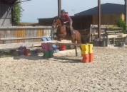 Top ponette CSO 4 ans