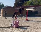 Top ponette CSO 4 ans